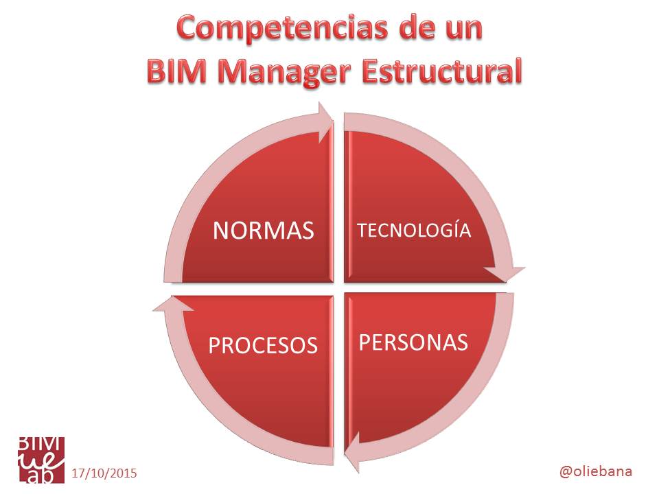 BIM Manager Estructural: Experencia y Competencias